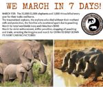 Global March for Elephants and Rhinos